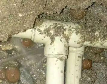 红塔测漏水多少钱