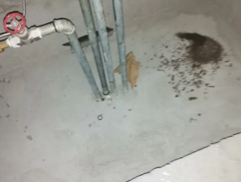 红塔卫生间测漏水价格明细