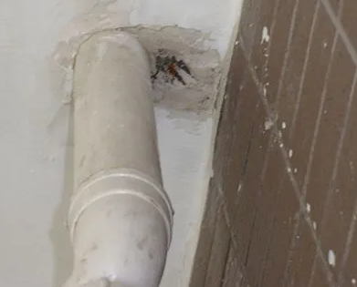 红塔漏水检测哪家好